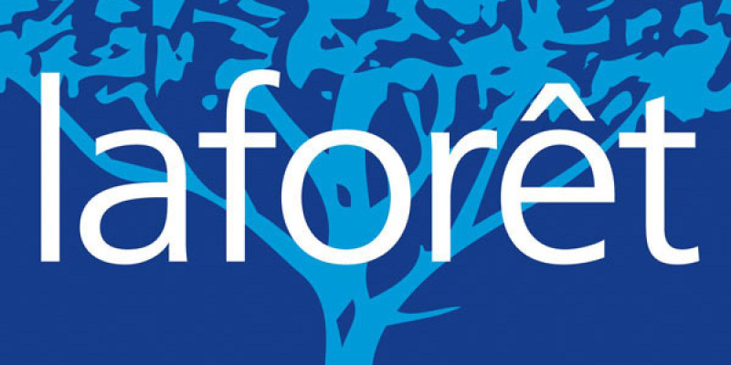 /thumbs/970×400×max/sponsors/2023/10/laforet-logo-franchise-immobilier.jpg